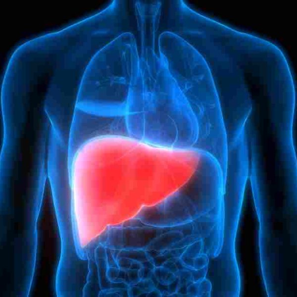 Ternyata Hati Berbeda dengan Liver