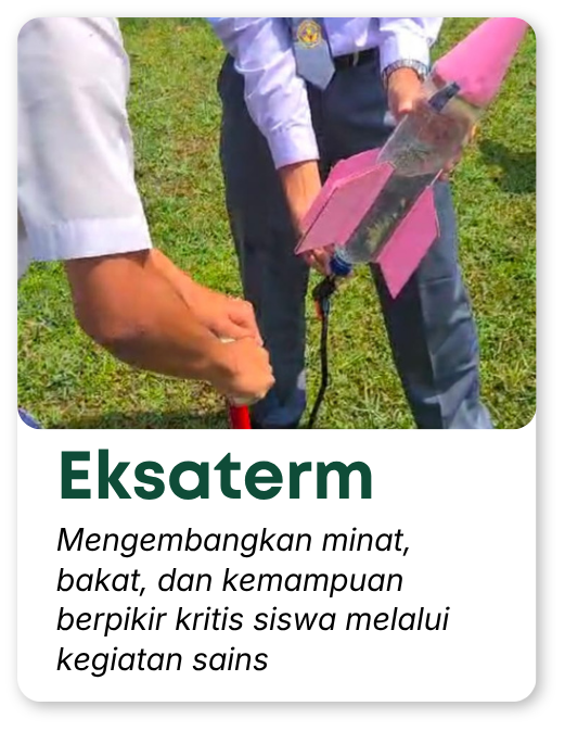 template program (31)