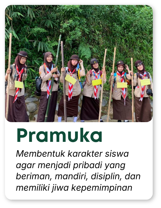 template program (38)